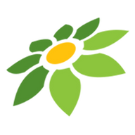 LINK JAYAJEPE